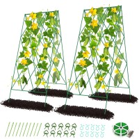 Cucumber Trellis 2 Pack Metal Foldable A Frame Garden Trellis For Raised Bed Climbing Plants Vegetables Includes Plant Suppor