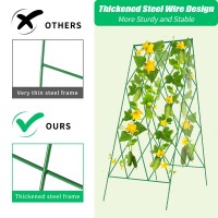 Cucumber Trellis 2 Pack Metal Foldable A Frame Garden Trellis For Raised Bed Climbing Plants Vegetables Includes Plant Suppor