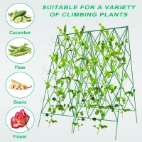 Cucumber Trellis 2 Pack Metal Foldable A Frame Garden Trellis For Raised Bed Climbing Plants Vegetables Includes Plant Suppor