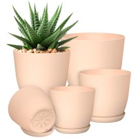 Utopia Home Plant Pots Indoor With Drainage 76665348 Inches Home Decor Flower Pots For Indoor Planter Pack Of 5 Pla