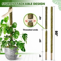 Duspro 80 Inches Large Moss Pole For Plants Monstera Plant Stakes For Indoor Plants Monstera Plant Support Plant Supportplan