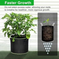 Mekolife Grow Bags Potato Grow Bags Thickened Fabric Pots Large Grow Bags Tomato Vegetables Grow Bags 12 Pack5 Gallon