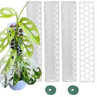 Haispring Plastic Moss Pole 4 Pack 17 Inch For Climbing Plants Monstera  Moss Pole Support For Indoor Plants  Plant Support For Monstera Work With Sphagnum Moss  Plant Lover Gifts(White)