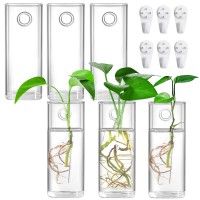 Fasmov 6 Pack Wall Hanging Glass Planters Plant Terrarium Plants Holders Air Plants Succulents Planters Flowers Glass Wall Vase