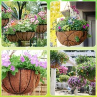 Zeedix 6Pcs 10 Inch Coconut Liners For Planters Round Hanging Basket Liners 100 Natural Coco Coir Basket Coco Replacement Line