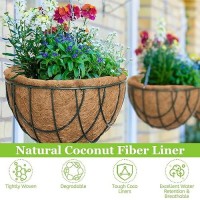 Riare 4 Pack 16 Inch Round Coco Liners Replacement 100 Natural Coconut Coir Liners For Hanging Baskets Garden Flower Vegetabl