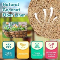 Riare 2 Pack 18 Inch Round Coco Liners Replacement 100 Natural Coconut Coir Liners For Hanging Baskets Garden Flower Vegetabl