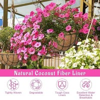 Riare 2 Pack 16 Inch Round Coco Liners Replacement 100 Natural Coconut Coir Liners For Hanging Baskets Garden Flower Vegetabl