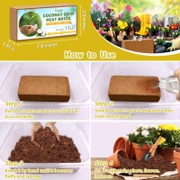 Legigo Pack Of 3 Organic Coco Coir Bricks 100 Natural Compressed Coco Peat Brick Coconut Fiber Substrate With Low Ec Ph Balan