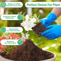 Legigo 50 Pcs 50Mm Organic Coco Coir Pellets For Plants Compressed Coconut Coir Potting Soil Coco Fiber Pellets Coco Coir Soil