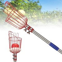 Bsbsbest Fruit Picker Pole With Basket  Telescoping Fruit Picker Tool With Long Handle  35-65 Inch Adjustable Apple Avocado Orange Picker  Stainless Steel Fruits Catcher Tree Picker