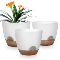 Qrrica Plant Pots 1098 Inch Self Watering Pots Set Of 3 Plastic Planters With Drainage Holes And Saucers Plastic Flower Pots