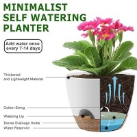 Qrrica Plant Pots 1098 Inch Self Watering Pots Set Of 3 Plastic Planters With Drainage Holes And Saucers Plastic Flower Pots