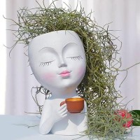 Face Vase Head Planter  Face Planter  Small Plant Pots Outdoor Planters For Indoor Plants  Succulent Flower Pots Plant Pot With Drainage  Gifts For Women Mom Sister  White Vases Coffee Table Decor