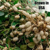 Old Potters Wildlife Inshell Peanuts For Birds Squirrels And Wildlife Usa Grown Nongmo Raw Inshell Peanuts Inshell 8 Lbs