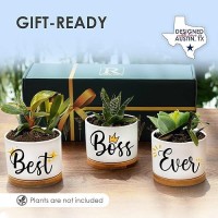 Boss Planters Boss Lady Gifts For Women Best Boss Gifts For Women For Bosses Gift For Boss Women Boss Appreciation Gifts Fo