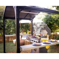 Palram Canopia Austin 6 X 8 Bbq Grill Gazebo Gray Polycarbonate Panels Metal Frame Hardtop Gazebo Weather Protection Sh