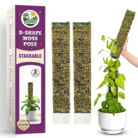 Duspro Dshaped Plastic Moss Poles For Climbing Plants Monstera Stackable Moss Pole For Plants Moss Plant Pole Handmade Moss Sti