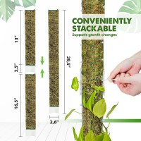 Duspro Dshaped Plastic Moss Poles For Climbing Plants Monstera Stackable Moss Pole For Plants Moss Plant Pole Handmade Moss Sti