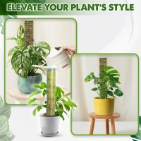 Duspro Dshaped Plastic Moss Poles For Climbing Plants Monstera Stackable Moss Pole For Plants Moss Plant Pole Handmade Moss Sti