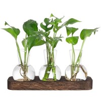 Yibot Propagation Stations Plant Propagation Vase Desk Plant Terrarium With Retro Wooden Stand Plant Lover Gifts For Women For Hydroponics Plants Home Garden Wedding Decor(3 Vase)