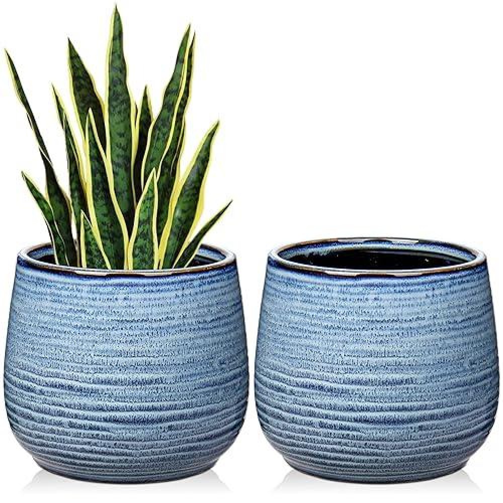 Ceramic Plant Pots 6 Inch Set Of 2  Flower Plants Pot With Drainage Holes Blue Planter Garden Pot For Succulent Cactus Home Decoration Gift Indoor Outdoor