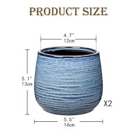 Ceramic Plant Pots 6 Inch Set Of 2  Flower Plants Pot With Drainage Holes Blue Planter Garden Pot For Succulent Cactus Home Decoration Gift Indoor Outdoor