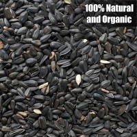 Old Potters Wildlife Black Oil Sunflower Seeds For Birds And Wildlife Nongmo Usa Grown On Small Farms 6 Lbs