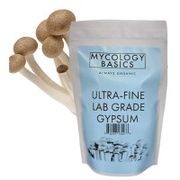 Ultrafine Food Grade Gypsum For Mushroom Substrates Brewing Tofu No Additives 97 Calcium Sulfate 225 Calcium Ca 18 S