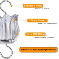 Glass Ant Moat For Hummingbird Feeder 2Pc X 3 Oz Clear Tulip Insect Guard With Large Capacity