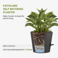 Faithland 2Pack 8 Inch Planter Pots For Indoor Outdoor Plants Self Watering Flower Pots With Deep Reservoir Black With Terrac