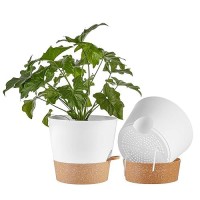 Faithland 2Pack 10 Inch Planter Pots For Indoor Outdoor Plants Self Watering Flower Pots With Deep Reservoir White With Terra