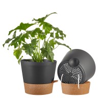 Faithland 2Pack 10 Inch Planter Pots For Indoor Outdoor Plants Self Watering Flower Pots With Deep Reservoir Black With Terra