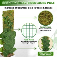 Duspro Flat Mesh Moss Poles For Climbing Plants Monstera Stackable Moss Pole For Plants With Real Moss Moss Plant Pole For Potte