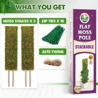 Duspro Flat Mesh Moss Poles For Climbing Plants Monstera Stackable Moss Pole For Plants With Real Moss Moss Plant Pole For Potte