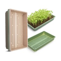 Mr Pen Plastic Growing Trays 5 Pack Assorted Colors Plant Tray Seed Tray Seedling Tray Propagation Tray Plant Trays For