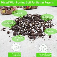 Natural Organic Perlite 5Qt For Plants Potting Mix Indoor Outdoor Garden Soil Amendment For Enhanced Drainage Seed Starter Roo