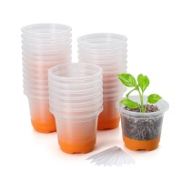 Mixc 30 Packs 4 Reinforced Clear Nursery Plant Pots With Silicone Base For Easy Transplant Transparent Plastic Reusable Seed