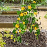 Docred Cucumber Trellis  2 Pack Foldable A Frame Trellis For Raised Bed Climbing Plants  Vegetables  Includes Plant Support Clips  Twist Ties  Plastic Ties- Made From Pvc-Coated Steel