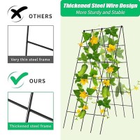 Docred Cucumber Trellis  2 Pack Foldable A Frame Trellis For Raised Bed Climbing Plants  Vegetables  Includes Plant Support Clips  Twist Ties  Plastic Ties- Made From Pvc-Coated Steel