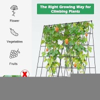 Docred Cucumber Trellis  2 Pack Foldable A Frame Trellis For Raised Bed Climbing Plants  Vegetables  Includes Plant Support Clips  Twist Ties  Plastic Ties- Made From Pvc-Coated Steel