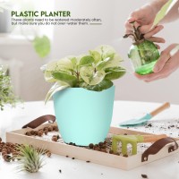 Utopia Home Plant Pots Indoor With Drainage 76665348 Inches Home Decor Flower Pots For Indoor Planter Plastic Plant