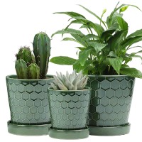 Ceramic Plant Pots 456 Inch Pots For Indoor Plants Planters With Drainage Holes And Ceramic Tray Indoor Flower Pots Gardening