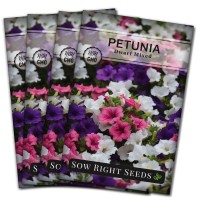 Sow Right Seeds Dwarf Mixed Petunia Seeds To Plant Full Instructions For Planting And Growing A Flower Garden Nongmo Heir