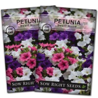 Sow Right Seeds Dwarf Mixed Petunia Seeds To Plant Full Instructions For Planting And Growing A Flower Garden Nongmo Heir