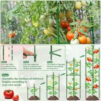 Halatool 8 Pack Tomato Cages For Garden Up To 63In52Ft Adjustable Tall Tomato Cage Garden Stakes Tomato Trellis For Pots Toma