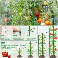 Halatool 6 Pack Tomato Cages For Garden Up To 63In52Ft Adjustable Tall Tomato Cage Garden Stakes Tomato Trellis For Pots Toma