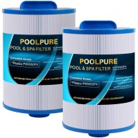 Poolpure Replacement Filter For Pww50P4 1 12 Mpt Thread Screw In Filterfine Thread 2 Pack