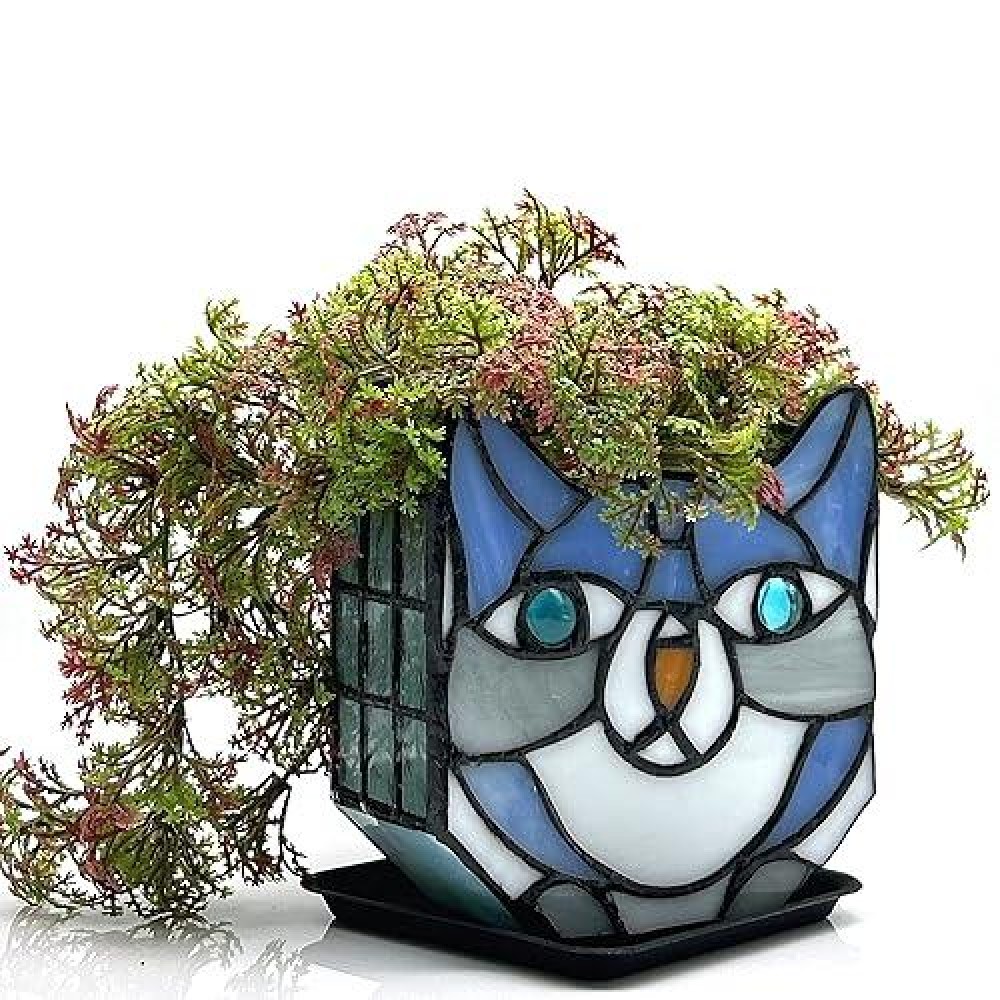 Entlityful Indoor Plant Display Glass Container Unique Pots For Plants Glass Container Decoration Suitable For Growing Small P