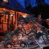 Unglinga 8 Large Spiders Halloween Decorations Outdoor Indoor Fake Spiders Scary Decorations Black Posable Halloween Spiders F